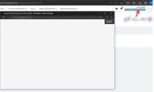 SCORM Content fails to load for just one user in Totara LMS