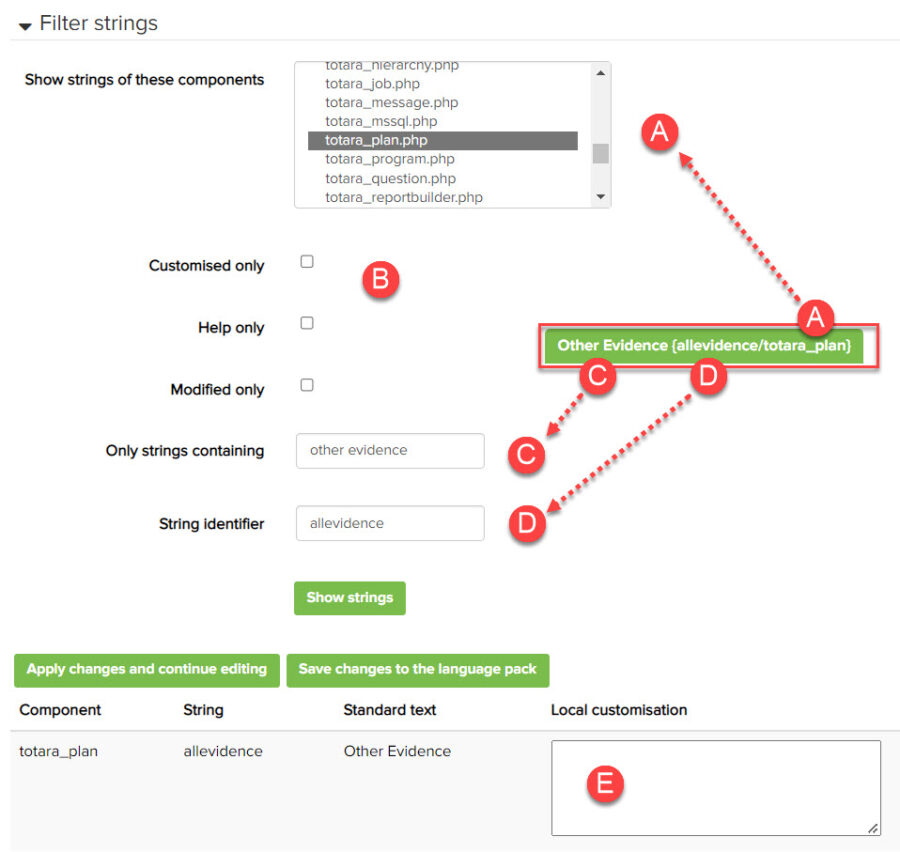 Language Customisation page showing how to filter strings for the 'Other evidence' tab.